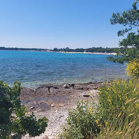 Apartamento Neu Renovierte Mit Klima, Wlan, Terrasse Und Grill *